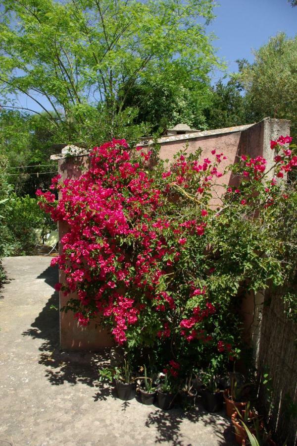 Houpla Sol Ferienhaus Manacor (Mallorca)
